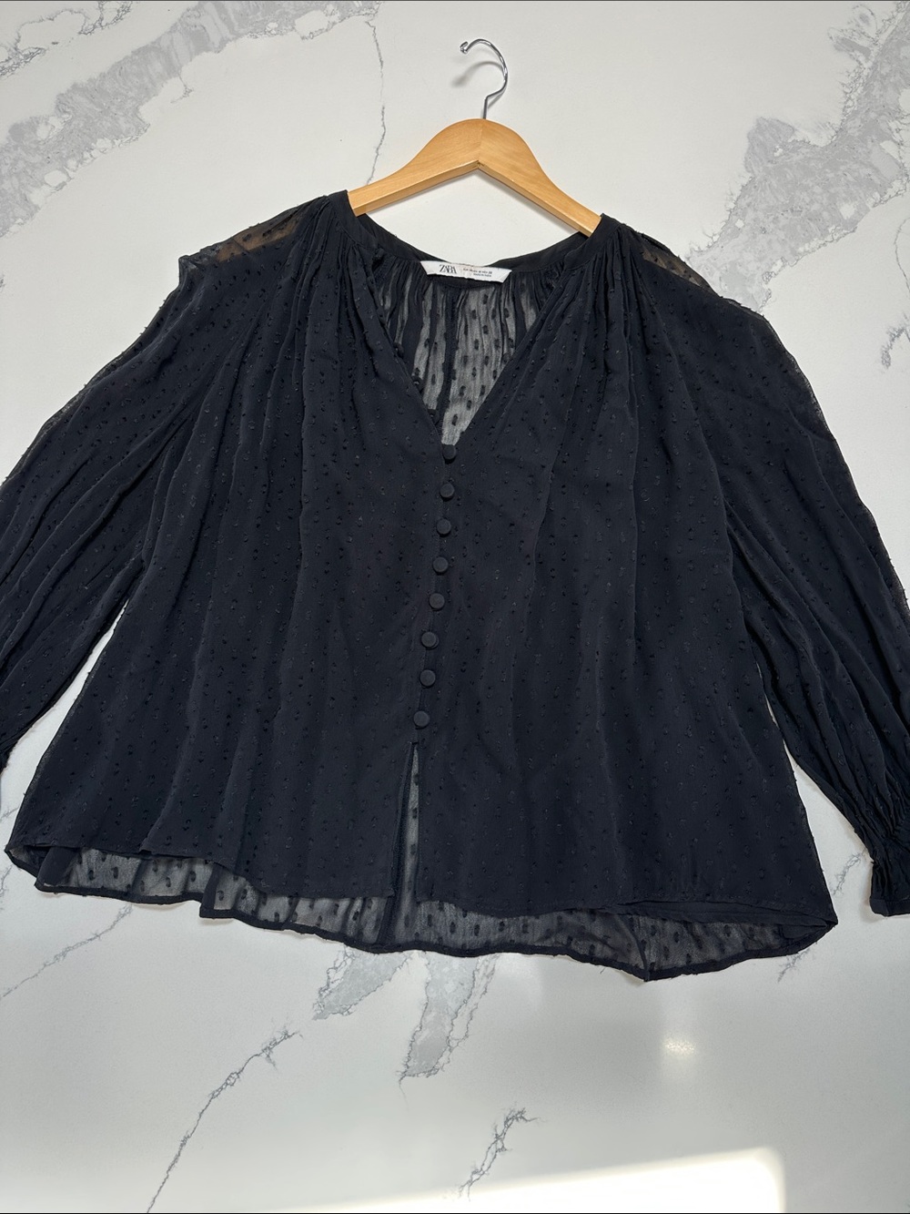 Zara Sheer Black Swiss Dot Button-Front Blouse